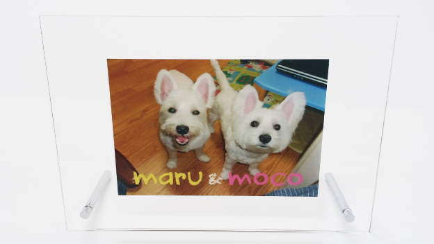 記念プリントプレート正面