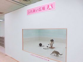 展示ブース施工後