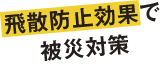 fig_text01