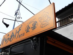 DSCN5578